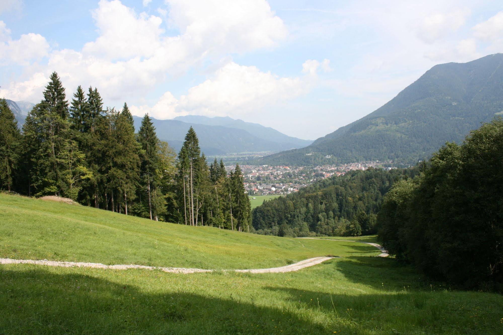 Hotel Garni Almenrausch Und Edelweiss 加爾米施-帕滕基興 外观 照片